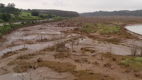 slow pull out aerial across serene marshland