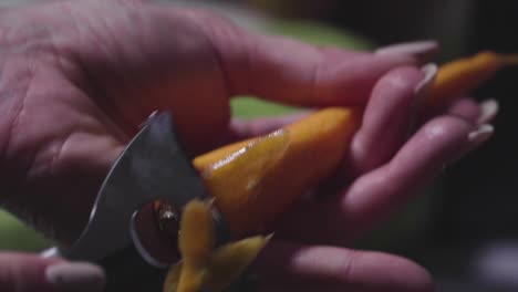 las manos de las mujeres lavan, pelan y cortan las verduras en estofado de verduras