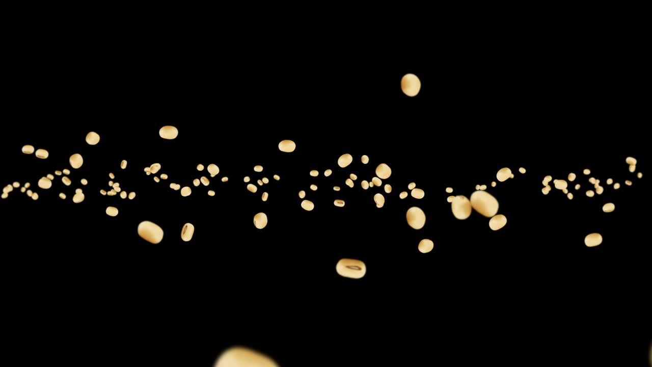 검은색 바탕에 많은 콩을 날아. 밝은 갈색 곡물. 콩과 콩. 건강한 음식. 회전하는 콩의 3d 루프 애니메이션.