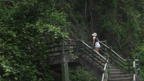 woman climbing staircase toward cat ba island caves trung trang vietnam nature jungle