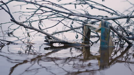 primer plano de ramas delgadas y ramitas en agua tranquila con basura pegada a ellas