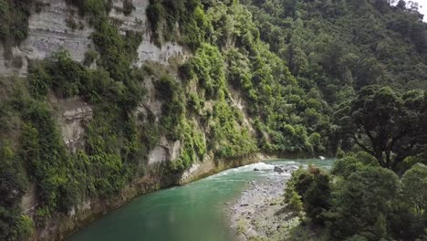 wonderful scenery of a river surrounded by glorious trees in new zealand - aerial shot