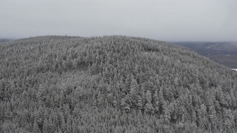 Frostbedeckte-Bäume-Auf-Dem-Gipfel-Eines-Hügels-Mit-Grau-Bewölktem-Himmel-Luftbahn