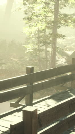 a wooden bridge in a foggy forest