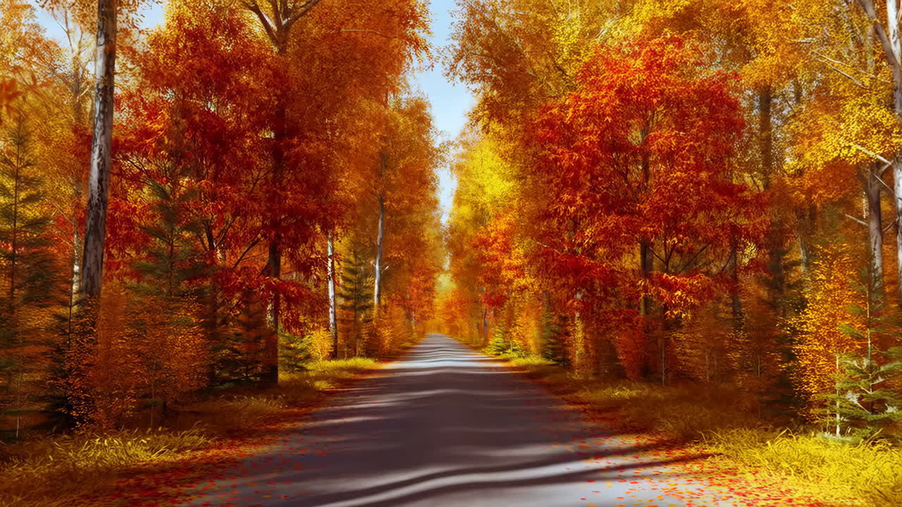 Autumn Forest Path with Vibrant Fall Colors
