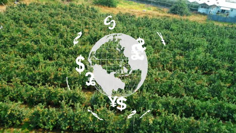 animating global currency symbols over lush green agricultural field