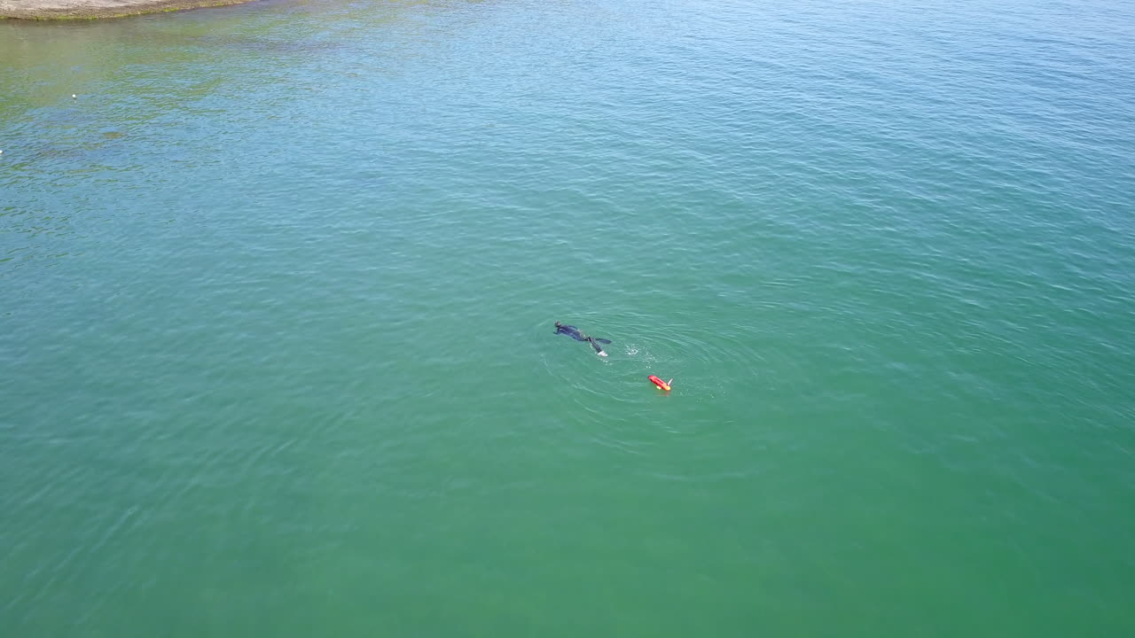 Drone flight, over swimmer diving and fishing in Buzios, Brazil