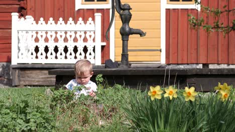 toddler boy sitting in the grass in idyllic swedish summer garden