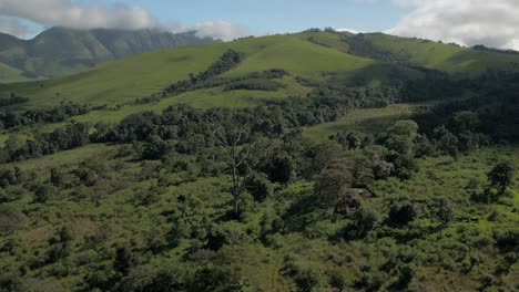 4k-Drone-Aerial-shot-tracking-in-towards-large-dead-tree-in-the-beautiful-Lekgalameetse-Provincial-Park-Limpopo-province,-South-Africa