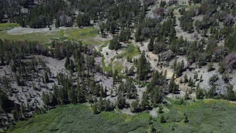 Toma-Aérea-De-Un-Claro-Verde,-Un-Río-Y-Un-Bosque-Que-Lo-Rodea