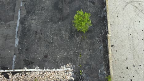 Drone-moving-forward-to-track-the-crumbling-state-of-an-old-industrial-roof