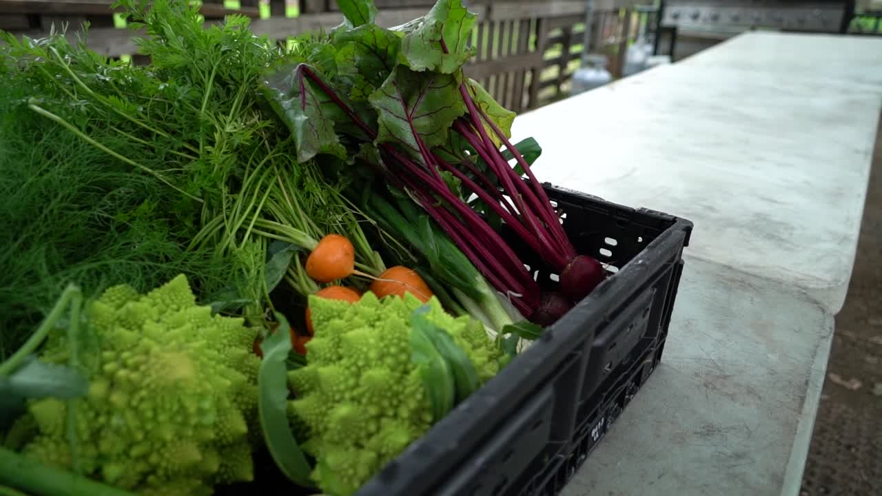 A basket of fresh produce sits on display