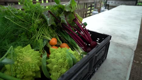 A-basket-of-fresh-produce-sits-on-display