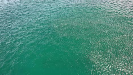 School-of-Fish-Shimmers-in-Sunlight-at-Cabarita-Beach,-Tweed-Shire,-Bogangar,-Northern-Rivers,-New-South-Wales,-Australia-Aerial-Shot