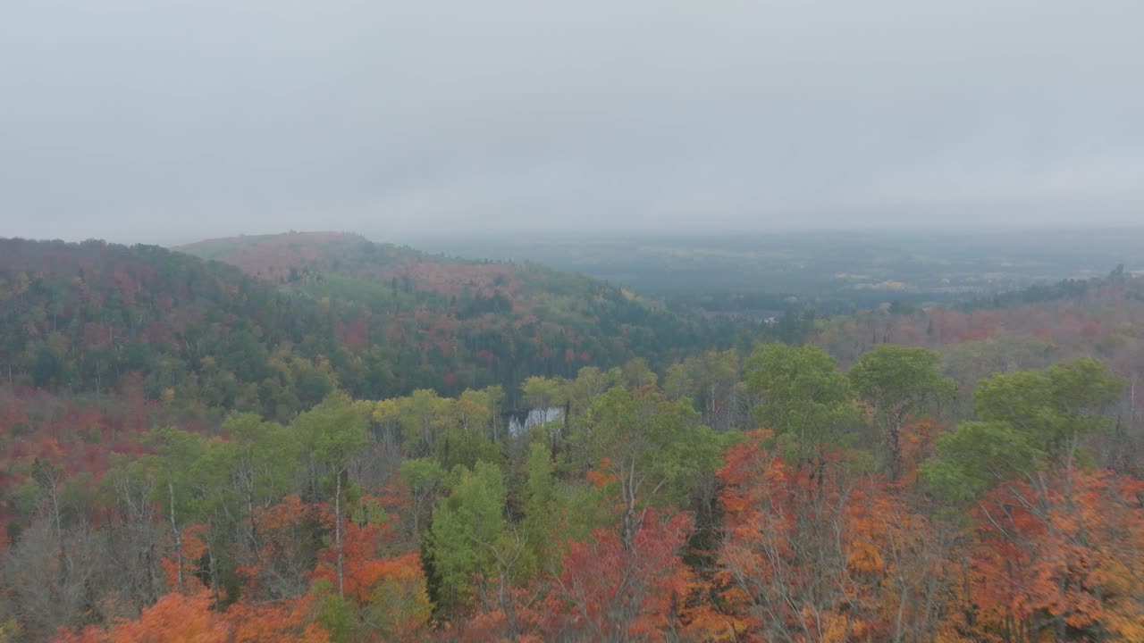 vista aérea del bosque de principios de otoño con follaje vibrante y el centro del lago sereno