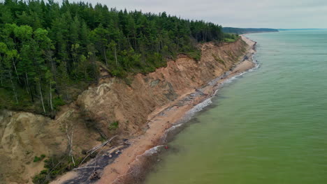 sumérjase en las espléndidas vistas aéreas de los árboles exuberantes y verdes que bordean con gracia las tranquilas aguas