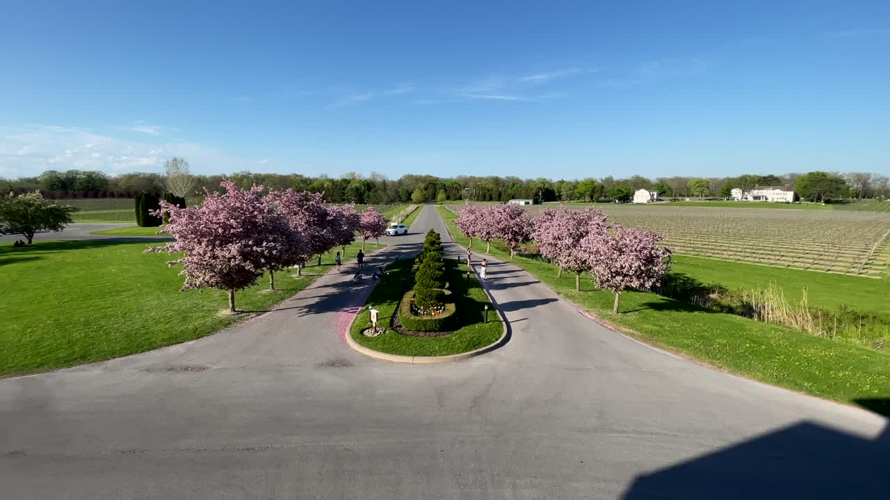 꽃이 피는 체리 나무 에서 따뜻한 봄 바람을 즐기는 관광객들의 작은 그룹, 넓은 각도