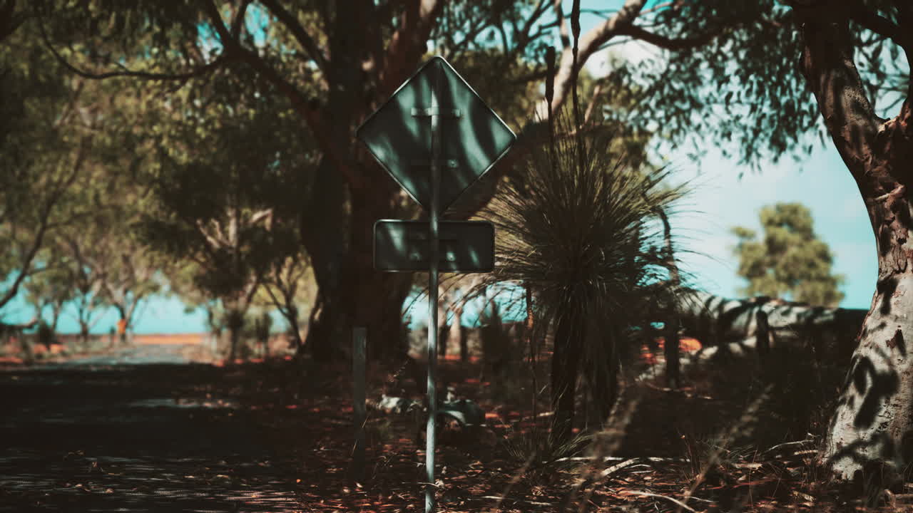 건조 한 풀 과 나무 들 이 있는 외 ⁇  도로