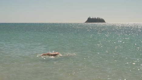 美麗的女孩在蘭福德島的海灘上游入海, 在威森迪群島, qld, 澳洲