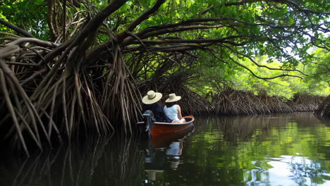 kayaking through mangrove roots