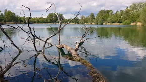 Statische-Ansicht-Des-Toten-Baumes-Im-Seewasser-Während-Des-Bewölkten-Frühlingstages