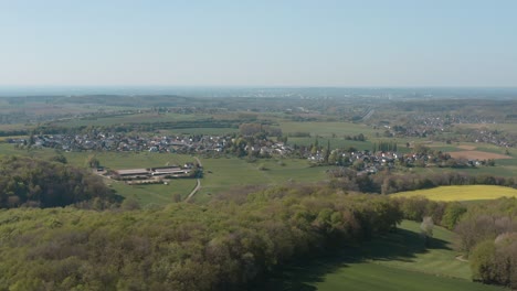 drone - panorama aéreo vuela sobre una pradera con hierba, árboles, arbustos y colza amarilla 30p
