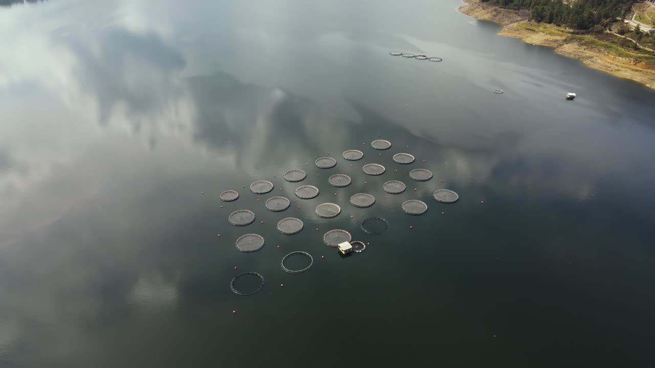 piscifactoría con jaulas de círculo flotante