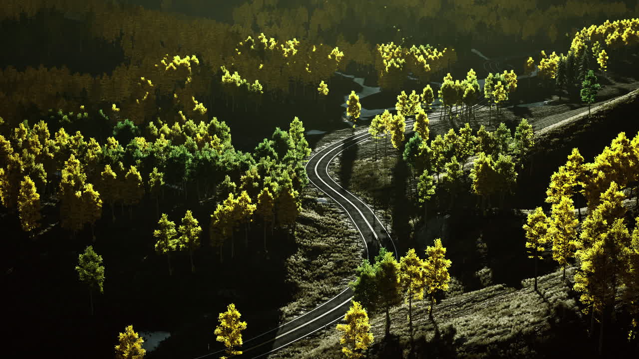 Scenic winding pathway through vibrant autumn forest in golden hour light
