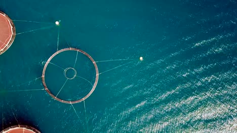 aerial drone video of fish farming unit