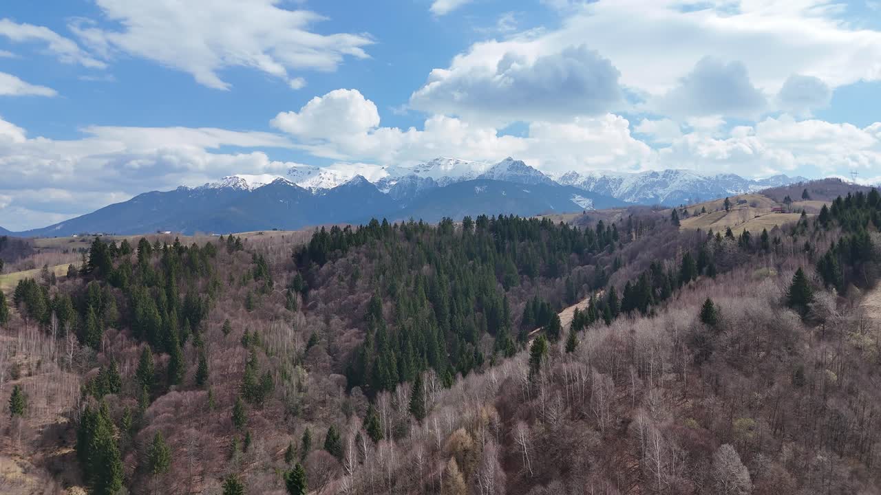 un bosque exuberante y montañas cubiertas de nieve bajo un cielo azul brillante, vista aérea
