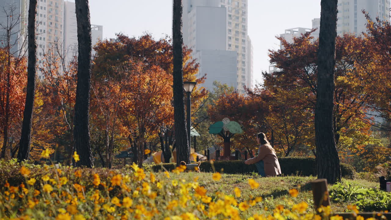 Cheerful Young Woman Playing with Toy Poodle, Active Dog Jumping to Catch Stick in Autumn City Park - wide angle