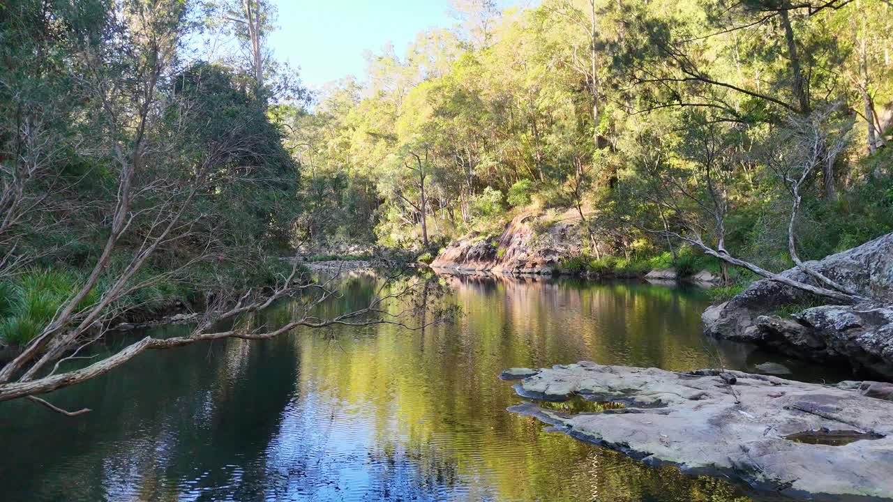 A tranquil drone flyover captures a pristine creek surrounded by lush greenery and rocks in Gold Coast, Australia