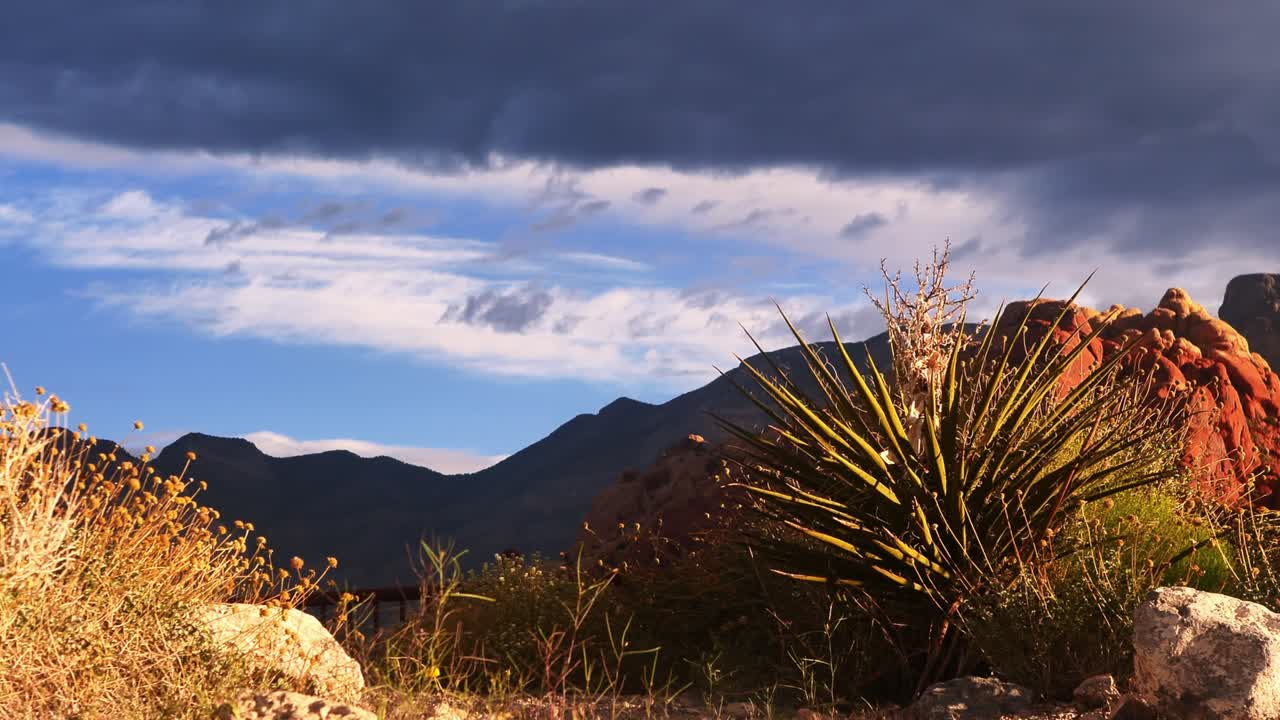 Red Rock and blue Sky wind blown b roll