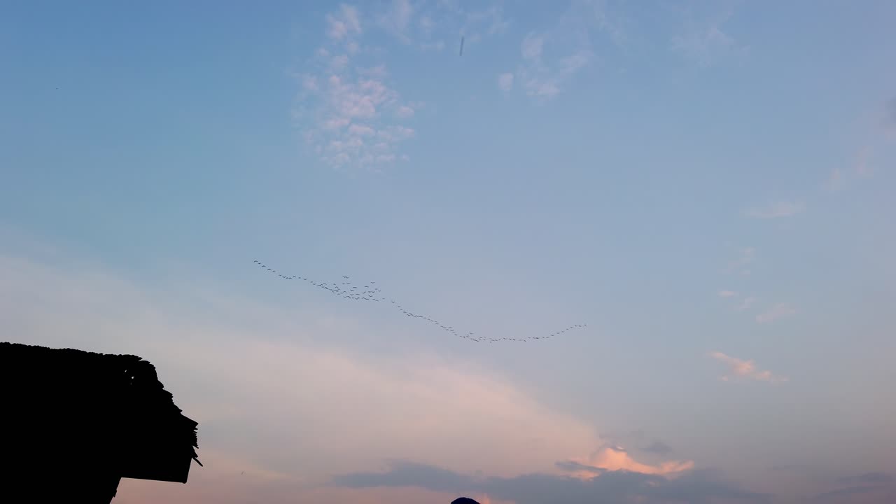 Flock of birds flying in formation high in the sky above Yangshuo in China in the evening