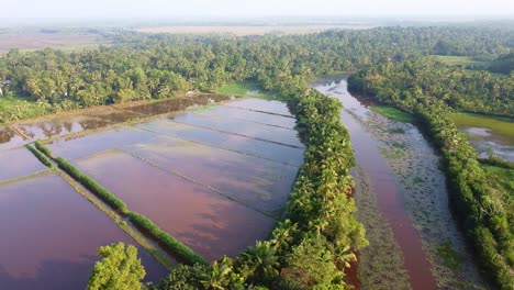 the river and the farm,field edges, land prepared for cultivation ,the field has been plowed and watered for cultivation, rice fields in asia , high angle shot , aerial shoot