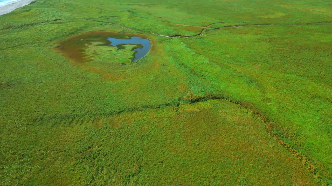 vista aérea de pastizales y estanques costeros