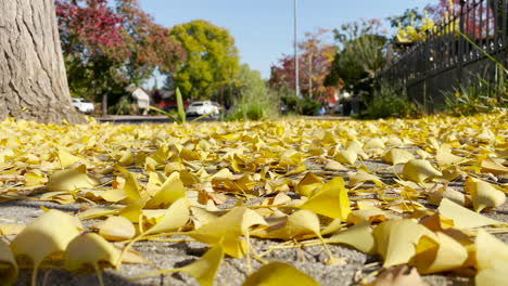 Bürgersteig-Voller-Gelber-Blätter-Im-Herbst