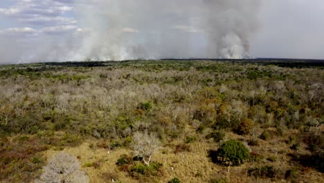 smoke rising along the horizon of the brazilian pantanal and deforestation fires burn the vegetation - aerial view