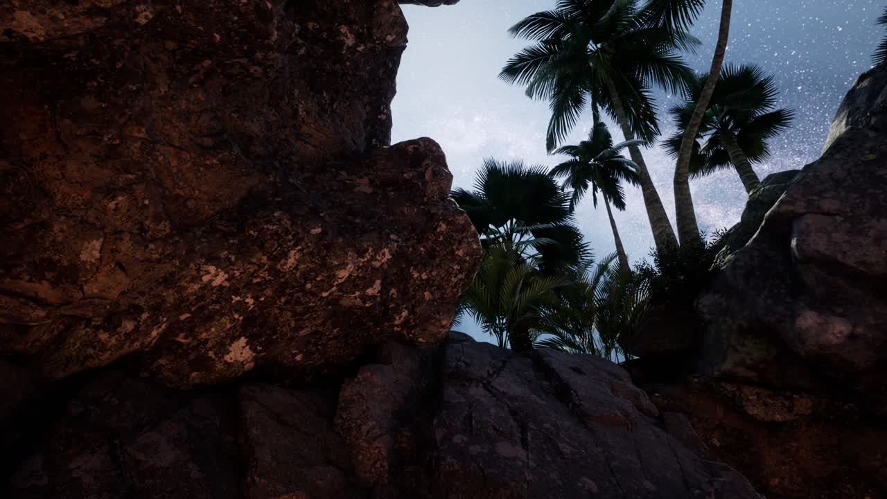 rutas estelares de hiperlapso de 4k sobre paredes y palmeras de cañones de piedra arenisca