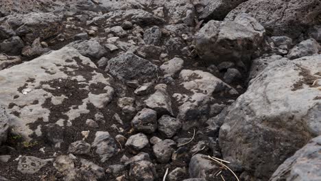 Blick-Auf-Eine-Trockene-Felsformation-Zwischen-Ausgetrockneter-Erde