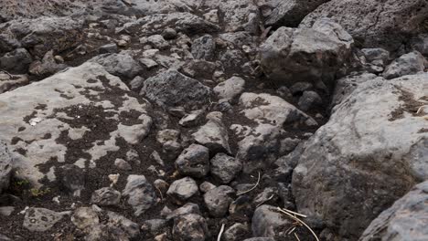 vista de una formación de roca seca entre tierra reseca