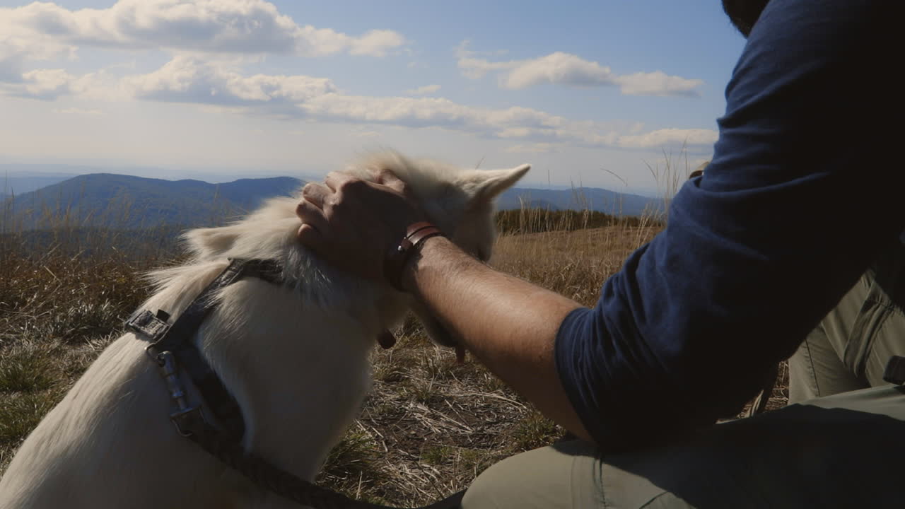Backpacker and his dog at the top of the hill