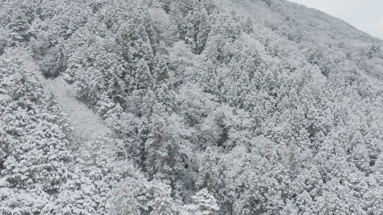 Aerial zooms Winter Landscape of Mount Hiei Forested trees, Peaks of Kyoto Japan