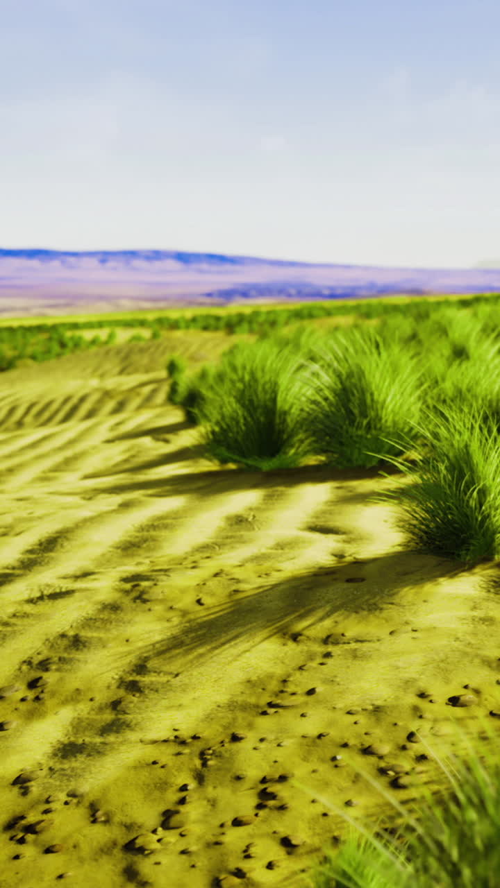Vibrant landscape showcasing lush grass in a desert terrain under clear sky
