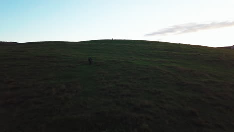 mountain biker at sunset on a grassy hill