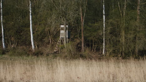 view of the hunting wooden watchtower on the edge of a grassy meadow