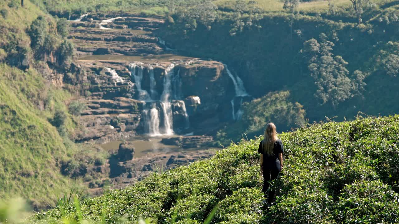 Editorial drone shot of a woman walking through the lush Saint Clair’s tea plantations in Nuwara Eliya, Sri Lanka, with the iconic Saint Clair’s waterfall visible in the background.