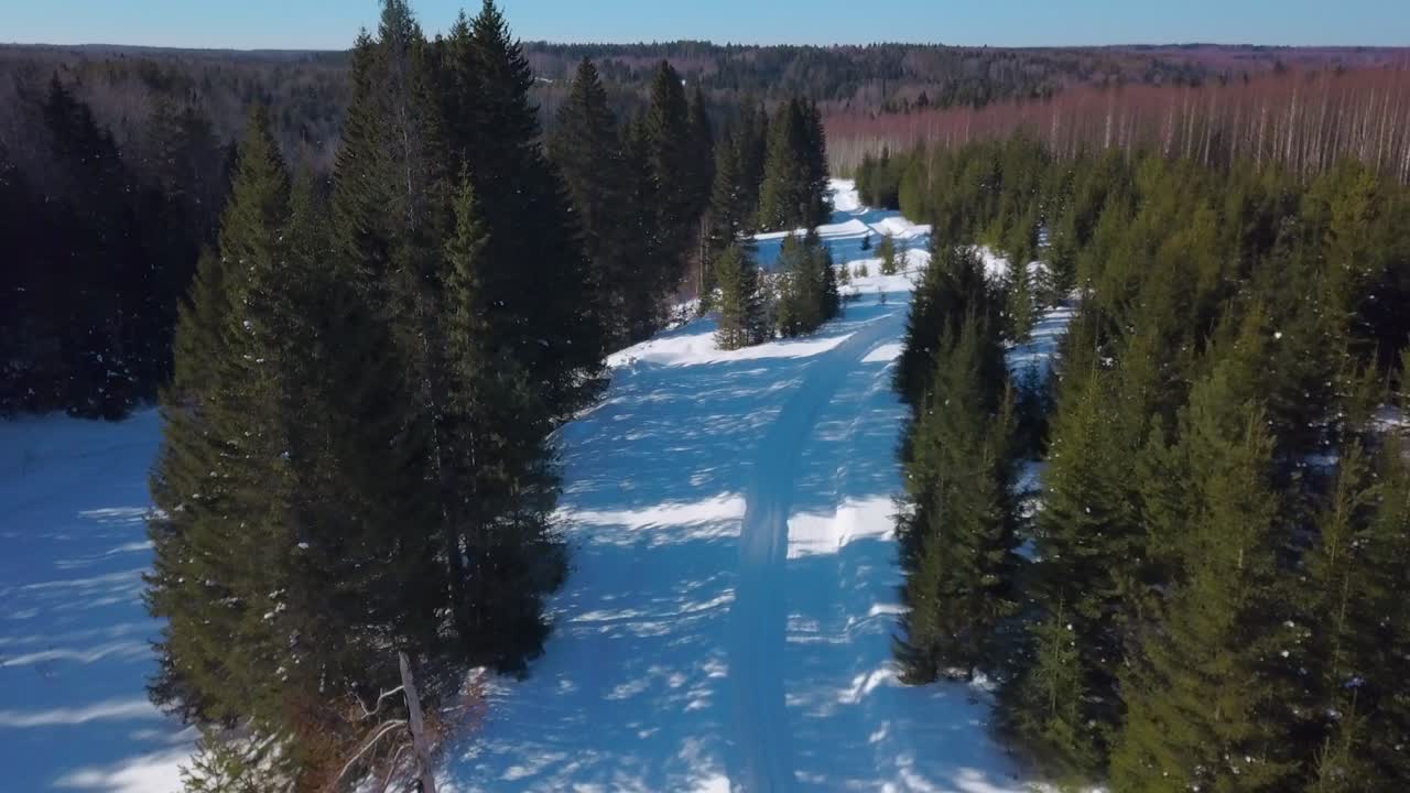 Lumipeitteinen metsäpolku talvella