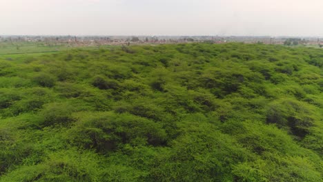 Aerial-Flyover-Of-The-Antelope-Game-Reserve-Forest-Surrounding-Hiran-Minar-In-Pakistan