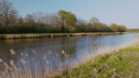 serene canal water by château de chambord in spring, calm nature, soft wind, peace